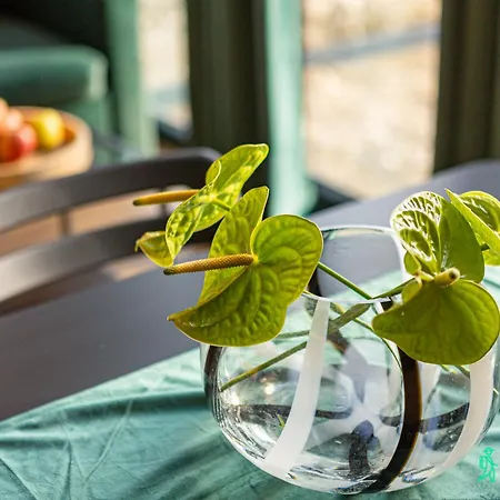 Dom Z Balia, Stara Morawa, Myweekpl