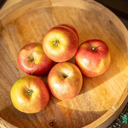 Przystanek Pedziwiatra Z Balia, Myweek #N/A