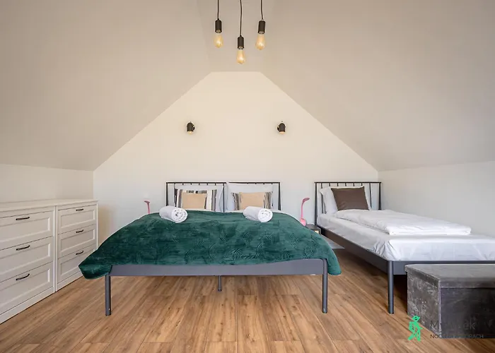 Przystanek Pedziwiatra Z Balia, Myweek *