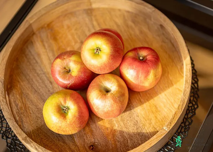 Przystanek Pedziwiatra Z Balia, Myweek Stara Morawa